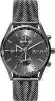 Wrist Watch Skagen SKW6608 
