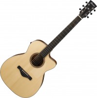 Acoustic Guitar Ibanez ACFS300CE 