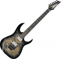 Photos - Guitar Ibanez RG1120PBZ 