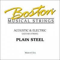 Photos - Strings Boston Acoustics BPL-015 acoustic & electric 
