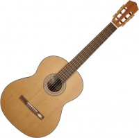 Photos - Acoustic Guitar Salvador Cortez CC-20 