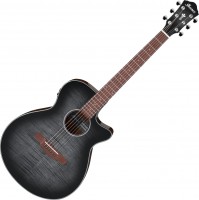 Acoustic Guitar Ibanez AEG70 