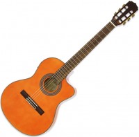 Photos - Acoustic Guitar ARIA A-48Ce 