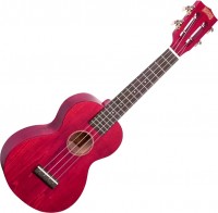 Acoustic Guitar MAHALO ML2 