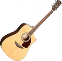 Photos - Acoustic Guitar Samick SGW S-350D 