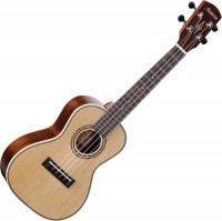 Acoustic Guitar Alvarez AU70WC 