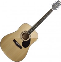 Photos - Acoustic Guitar Samick GD100S 