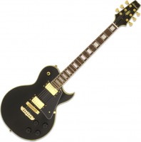 Photos - Guitar ARIA PE-350CST 