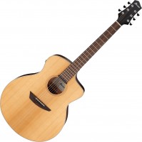 Photos - Acoustic Guitar Ibanez PA230E 