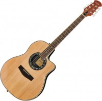 Photos - Acoustic Guitar Harley Benton HBO-600 