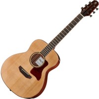 Acoustic Guitar Harley Benton Custom Line CLGS-10S Travel 