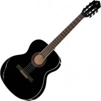 Acoustic Guitar Harley Benton Santos Series C-40S 