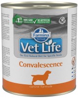 Dog Food Farmina Vet Life Canned Convalescence 300 g 1
