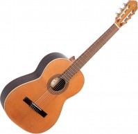 Photos - Acoustic Guitar Ortega R190 