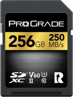 Photos - Memory Card ProGrade Digital SDXC UHS-II V60 250R 256 GB