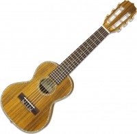 Photos - Acoustic Guitar ARIA ATU-180/6 