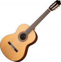 Photos - Acoustic Guitar Prodipe JMFSOLOIST500 