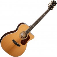Photos - Acoustic Guitar Cort Gold OC8 