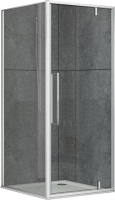 Photos - Shower Enclosure Dusel DL198+DL196 100x100