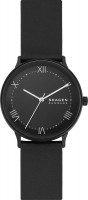 Wrist Watch Skagen SKW6623 