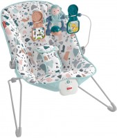Photos - Baby Swing / Chair Bouncer Fisher Price GWD38 