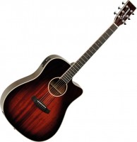 Acoustic Guitar Tanglewood TW5E 