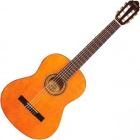 Photos - Acoustic Guitar Valencia VC104E 