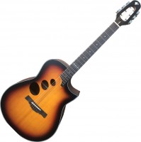 Photos - Acoustic Guitar Alfabeto Gamma EQ 