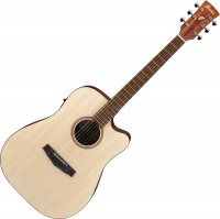 Acoustic Guitar Ibanez PF10CE 