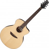 Photos - Acoustic Guitar Ibanez PA300E 