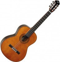 Acoustic Guitar Tanglewood EM D3 