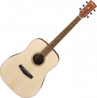 Acoustic Guitar Ibanez PF10 
