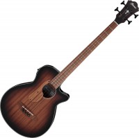 Acoustic Guitar Ibanez AEGB24E 