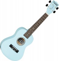 Acoustic Guitar Tanglewood TWT CP 