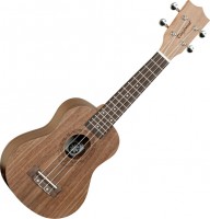 Acoustic Guitar Tanglewood TWT2 