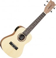Acoustic Guitar Tanglewood TWT9E 