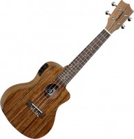Photos - Acoustic Guitar Tanglewood TWT12E 