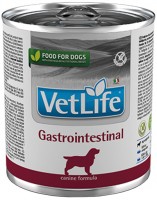 Dog Food Farmina Vet Life Gastrointestinal 300 g 1