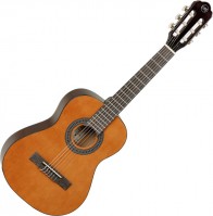 Acoustic Guitar Tanglewood EM C1 