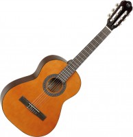 Acoustic Guitar Tanglewood EM C2 