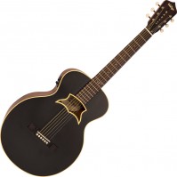 Acoustic Guitar Vintage VRA900EA 