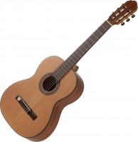 Acoustic Guitar GEWA Pro Arte CM-100 