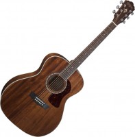 Photos - Acoustic Guitar Washburn G12S 