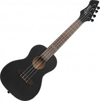 Acoustic Guitar Ortega RUHZ-SBK 
