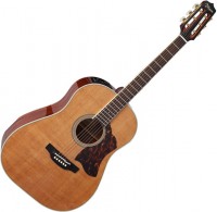 Acoustic Guitar Takamine CRN-TS1 