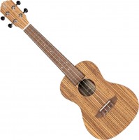 Acoustic Guitar Ortega RFU11ZE-L 