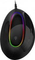 Mouse Connect IT Verti RGB 