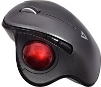 Photos - Mouse V7 Vertical Ergonomic Trackball Wireless Mouse 