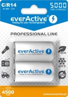 Photos - Battery everActive Professional Line 2xC 5000 mAh 
