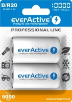 Photos - Battery everActive Professional Line 2xD 10000 mAh 